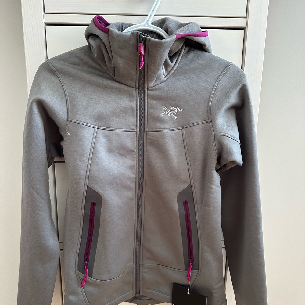 Arcteryx Arenite Hoody